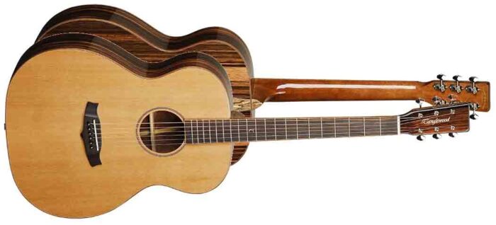 GUITARRA ACÚSTICA TANGLEWOOD TJ3E ORCHESTRA - Imagen 2