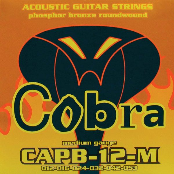string set acoustic, phosphor bronze wound medium,