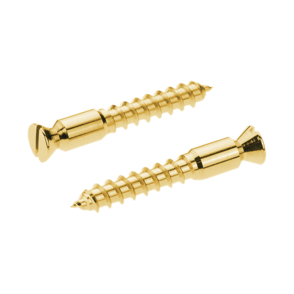 Recambios Floyd Rose Schaller 2 Torn. Pivote a Madera Dorado 20430500