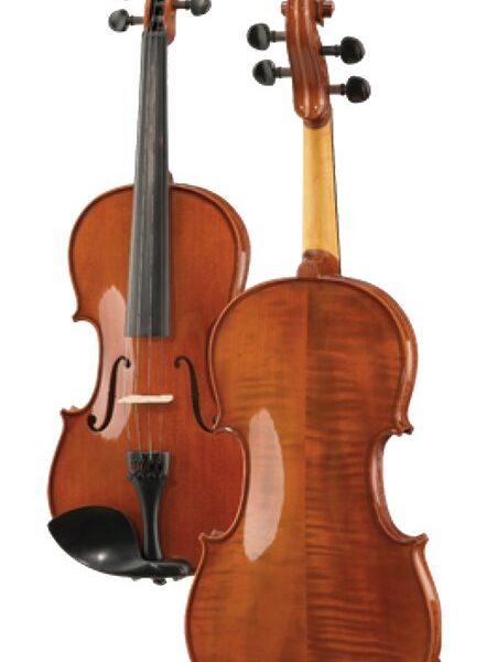 VIOLA SERIE ESTUDIO HÖFNER-ALFRED AS160VA DE 14″