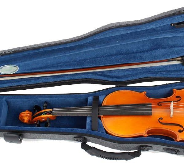 VIOLA HÖFNER 16″