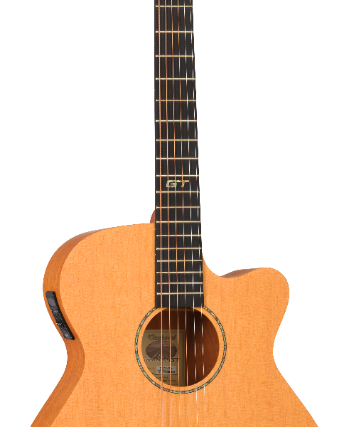 GUITARRA ACÚSTICA TANGLEWOOD SUPER FOLK ROADSTER GT CUTAWAY
