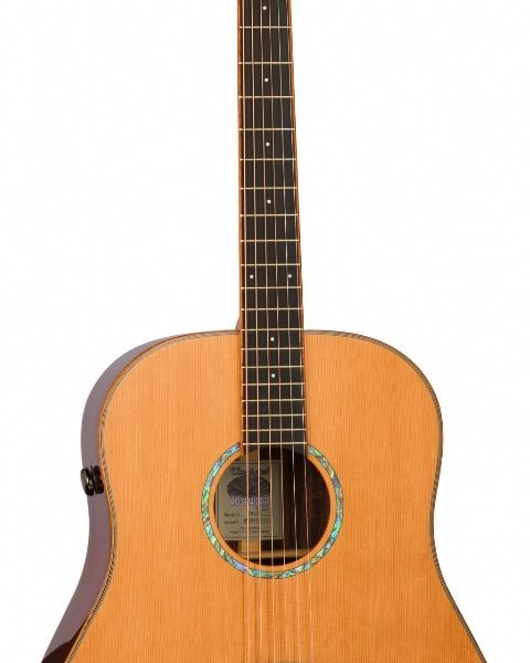GUITARRA ACÚSTICA TANGLEWOOD SERIE NEW ROSEWOOD SMART DREADNOUGHT ELECTRIFICADA