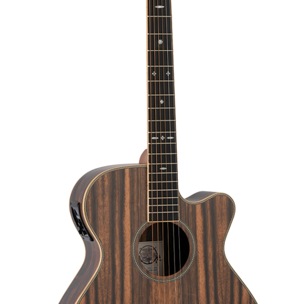 GUITARRA ACÚSTICA TANGLEWOOD SUPER FOLK TRSFCEAEB