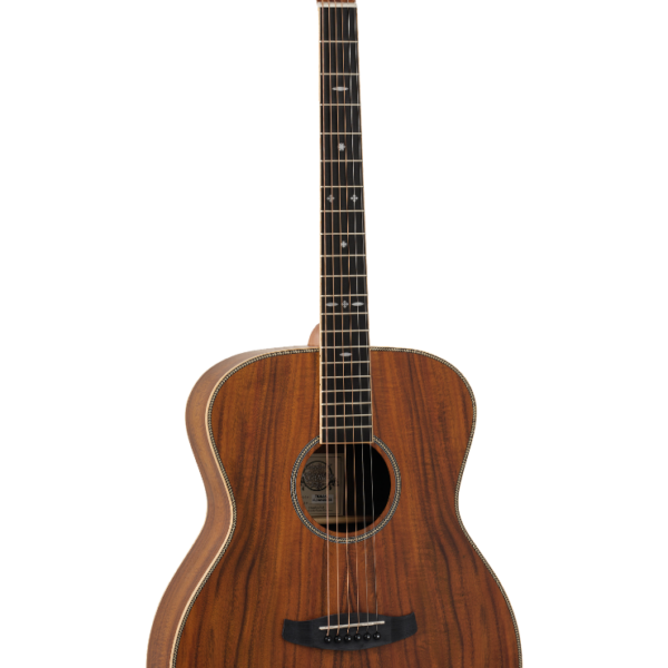 GUITARRA ACÚSTICA TANGLEWOOD TRU3AK FOLK
