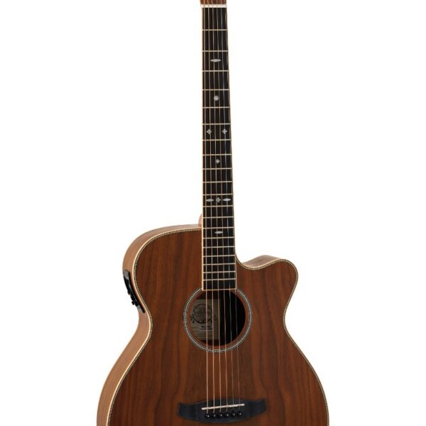 GUITARRA ACÚSTICA TANGLEWOOD TRU4CEAW
