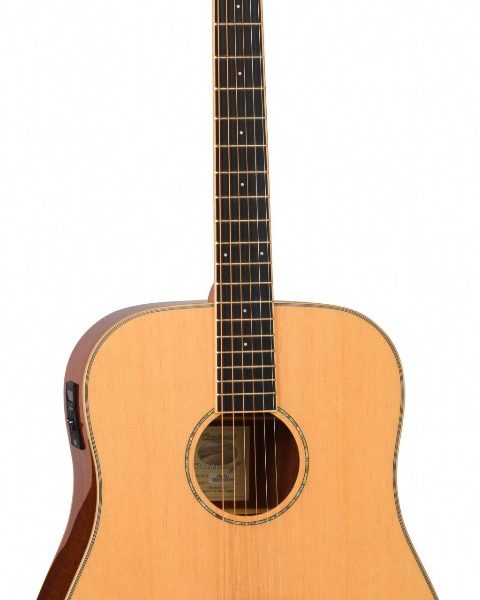GUITARRA ACÚSTICA TANGLEWOOD SERIE ROADSTER X DREADNOUGHT ELECTRIFICADA