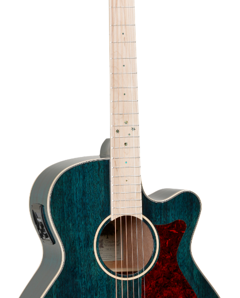 GUITARRA ACÚSTICA TANGLEWOOD TW4BLA SERIE WINTERLEAF BLONDE