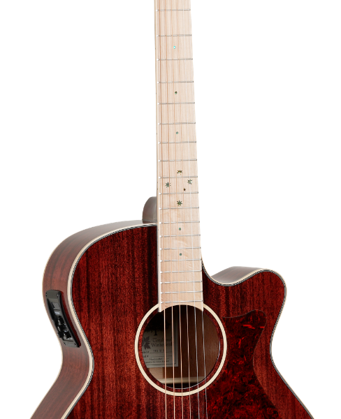 GUITARRA ACÚSTICA TANGLEWOOD TW4BLB SERIE WINTERLEAF BLONDE
