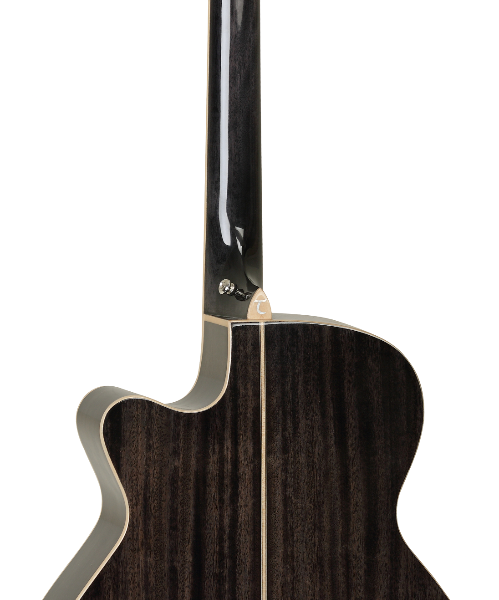 GUITARRA ACÚSTICA TANGLEWOOD MINI JUMBO TW4BS