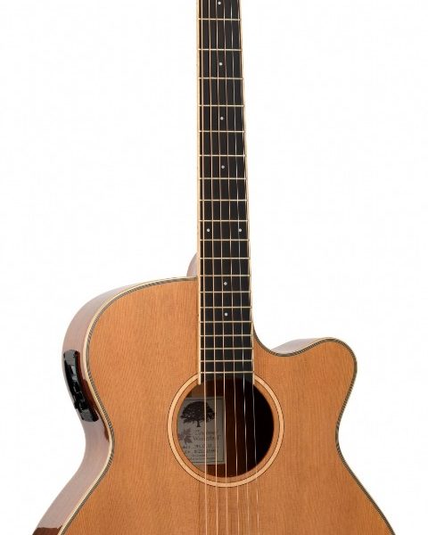 GUITARRA ACÚSTICA TANGLEWOOD SUPER FOLK CUTAWAY