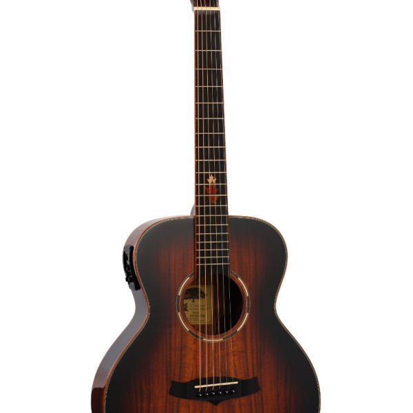 GUITARRA ACÚSTICA TANGLEWOOD TWX1EK