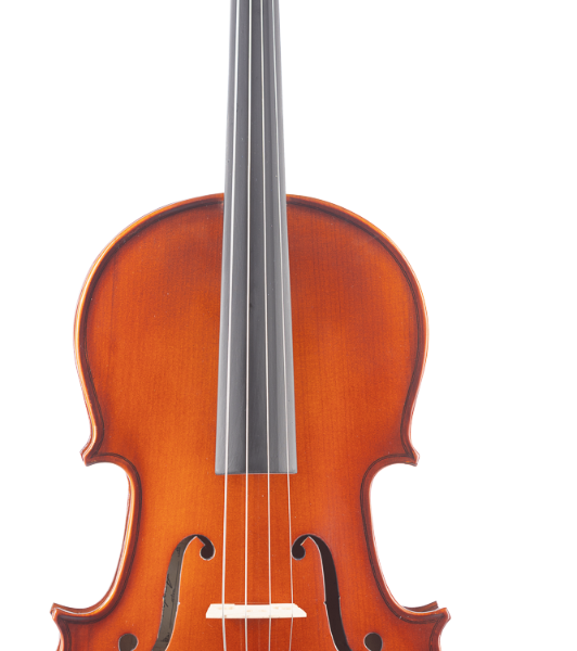 VIOLA AMADEUS VLF16